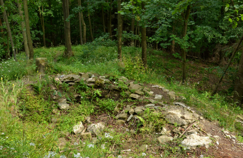 Zřícenina Hradu Vlčinec, Czech Republic (Czechia)